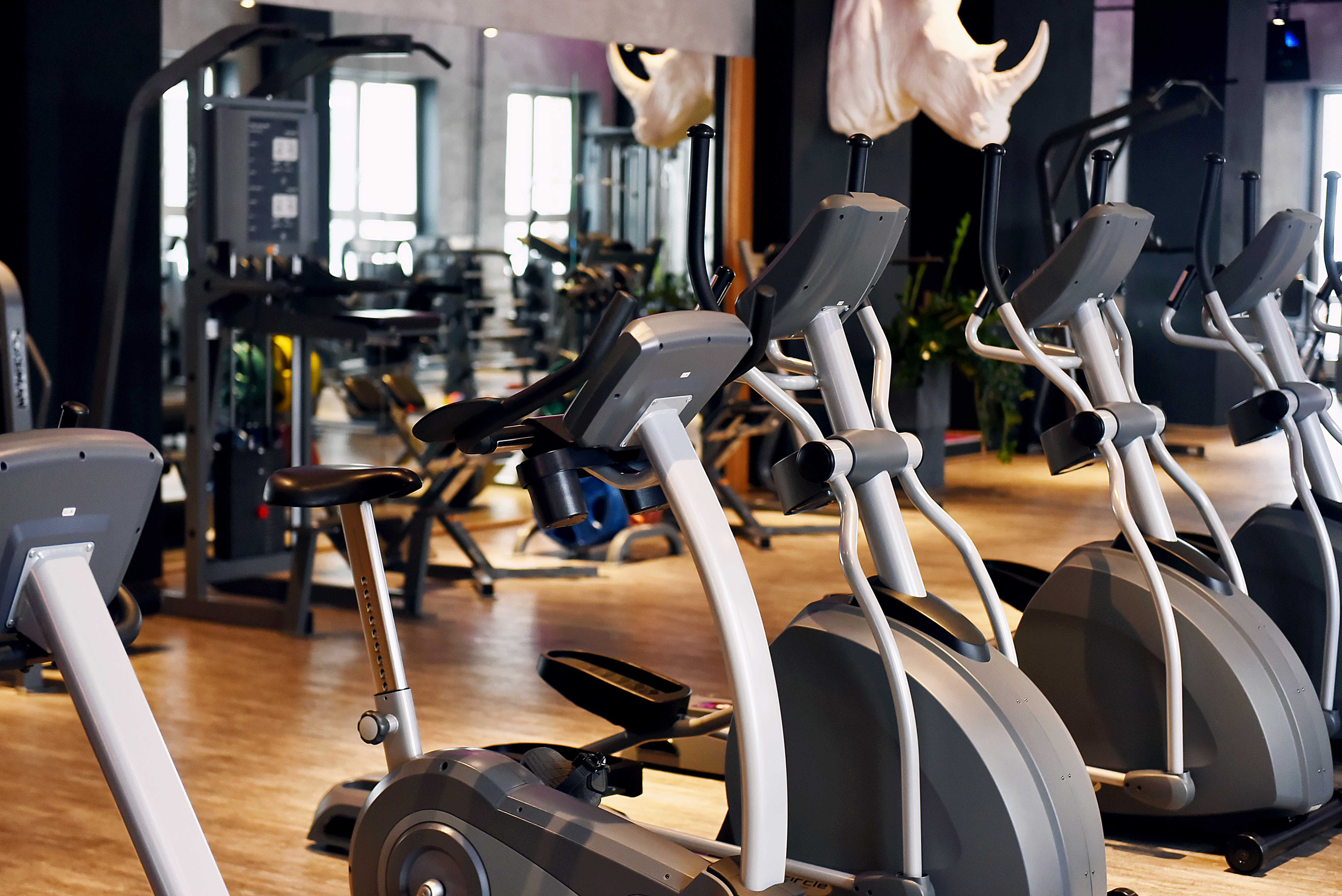 Elliptical Trainers in a Gym